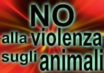 2014 NO ALLA VIOLENZA SUGLI ANIMALI